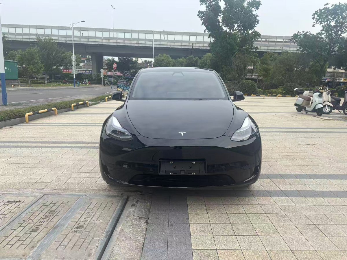 Tesla Model Y 2023 car image #2