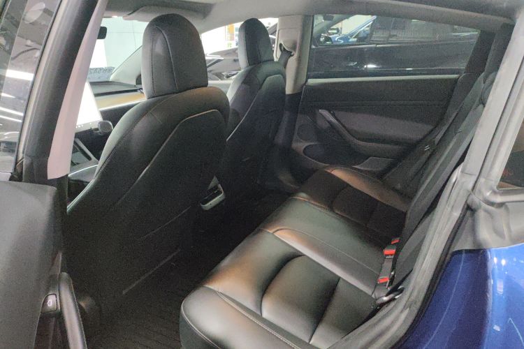 Tesla Model 3 2021 #17 Tesla Model 3 2021 car image #17