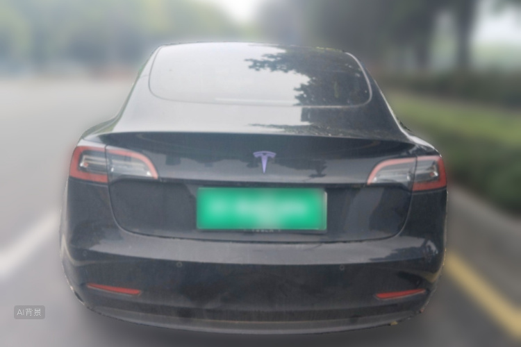 Tesla Model 3 2021 #6 Tesla Model 3 2021 car image #6