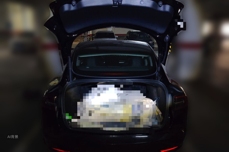 Tesla Model 3 2022 #21 Tesla Model 3 2022 car image #21