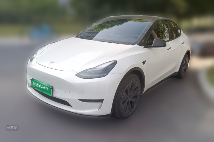 Tesla Model Y 2024 car image #2