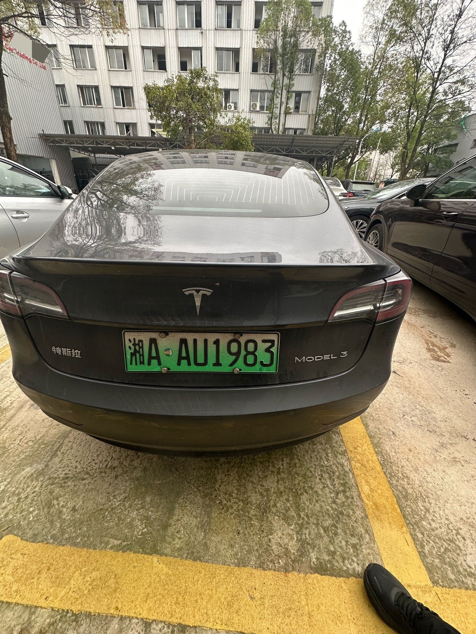 Tesla Model 3 2020 #5 Tesla Model 3 2020 immagine di auto #5
