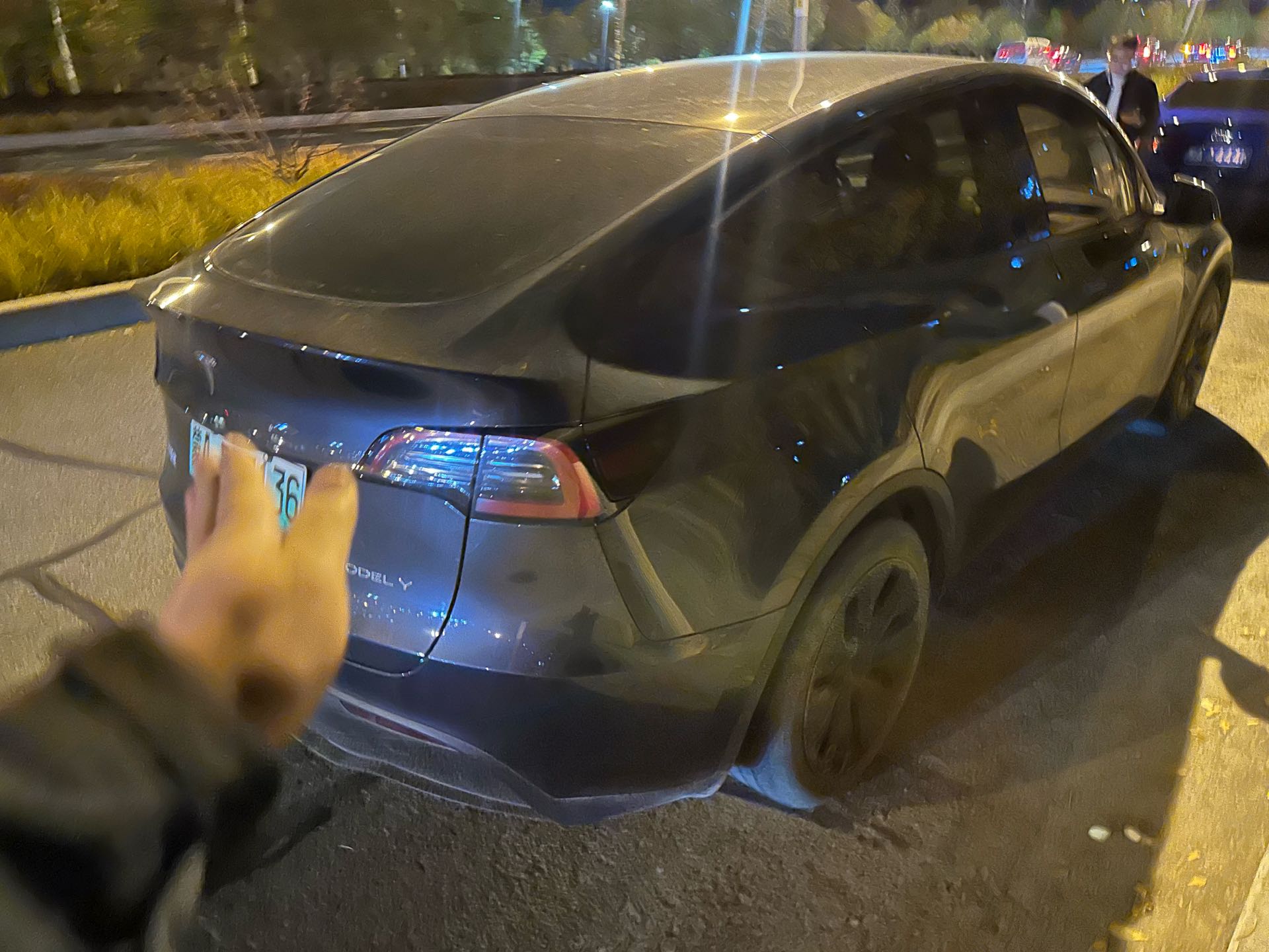 Tesla Model Y 2024 #5 Tesla Model Y 2024 car image #5