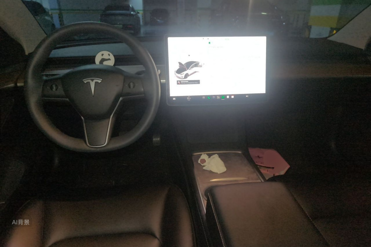 Tesla Model 3 2023 car image #11