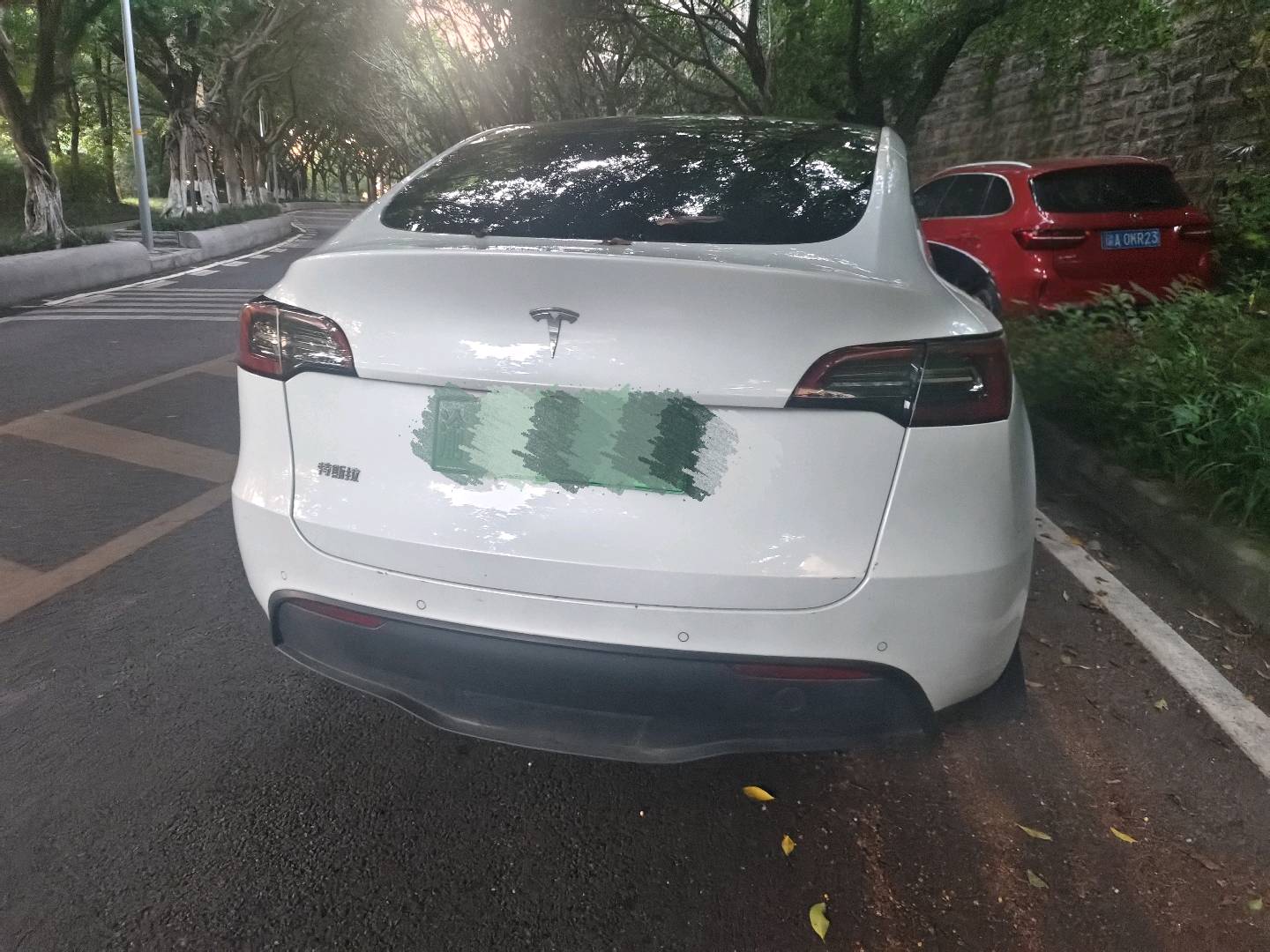 Tesla Model Y 2022 #5 Tesla Model Y 2022 car image #5