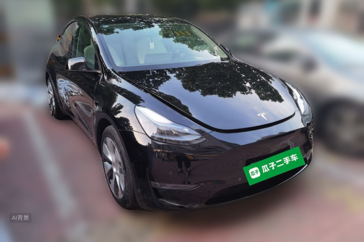 Tesla Model Y 2021 car image #4