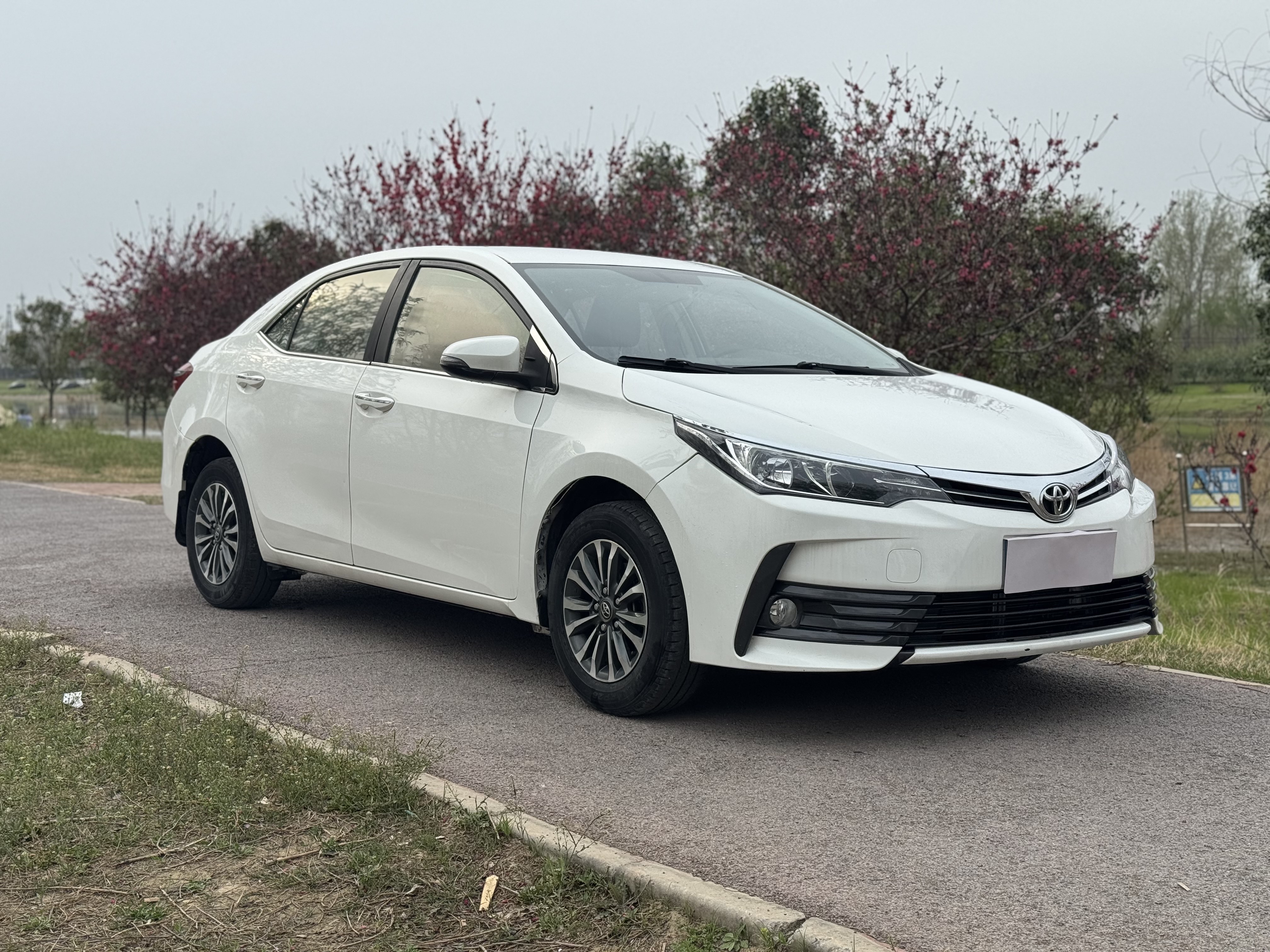 Toyota Corolla 2017 #5 Toyota Corolla 2017 car image #5