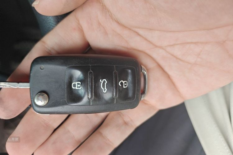 Volkswagen Santana 2020 car image #10