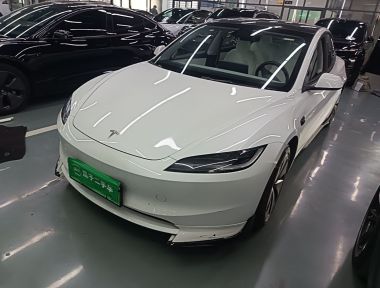 Tesla Model 3 2023 car image 