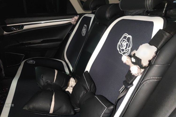 GEELY Emgrand GL 2017 car image #19