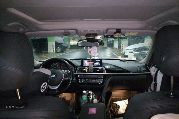 BMW 3 Series 2019 car image #20