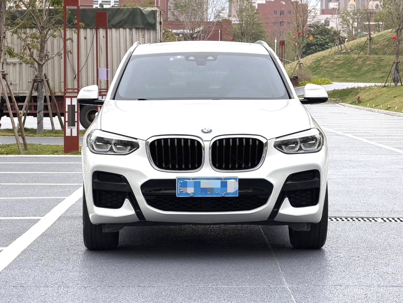 BMW X3 2019 #2 BMW X3 2019 car image #2