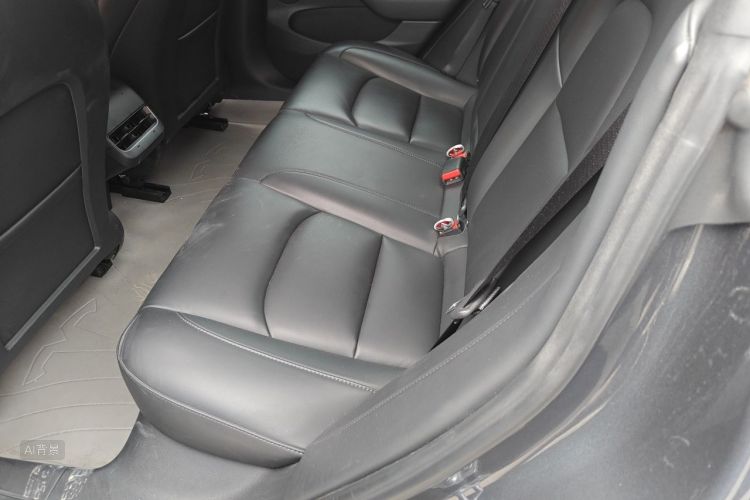 Tesla Model 3 2021 #19 Tesla Model 3 2021 car image #19