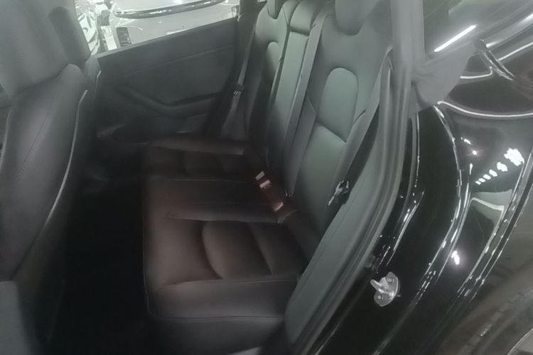Tesla Model 3 2022 #17 Tesla Model 3 2022 car image #17