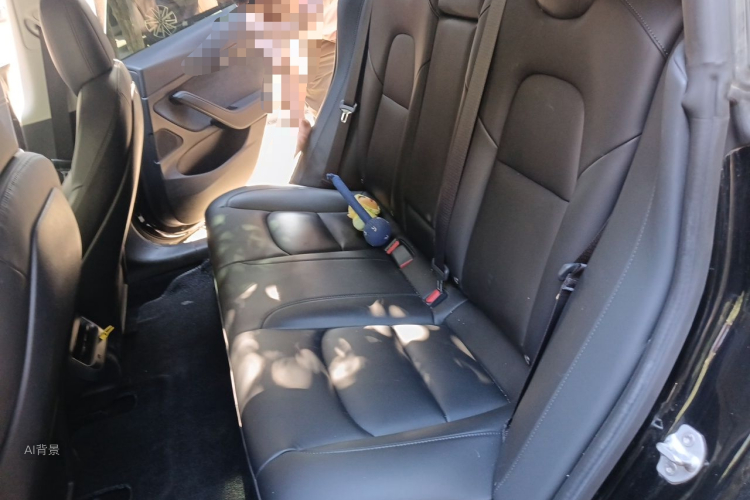 Tesla Model 3 2020 car image #19