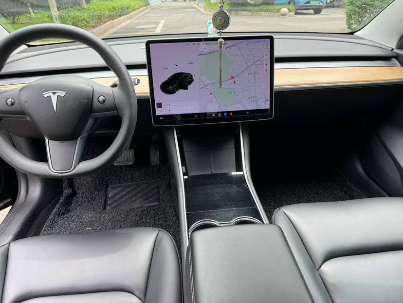 Tesla Model 3 2020 car image #8