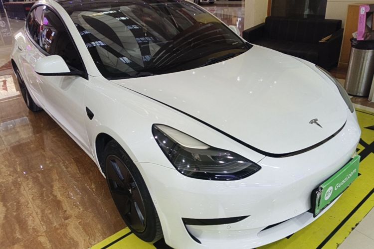 Tesla Model 3 2022 изображение автомобиля #4