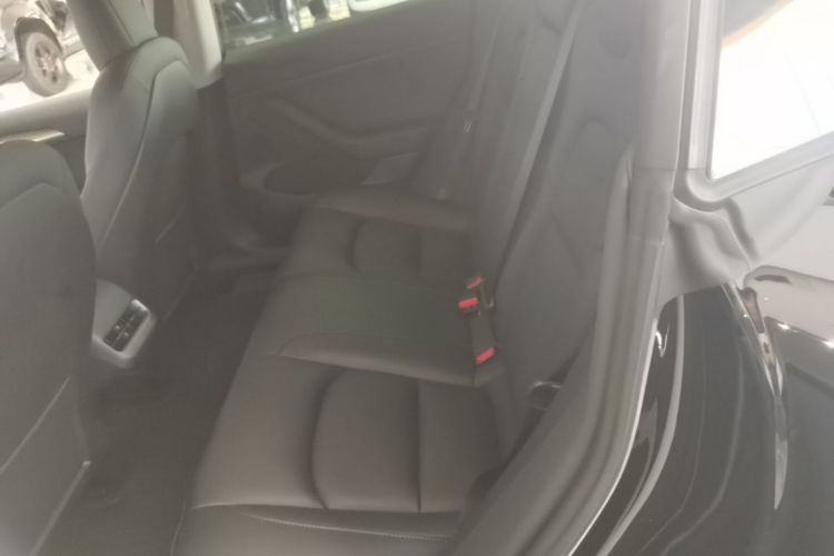 Tesla Model 3 2021 #17 Tesla Model 3 2021 car image #17