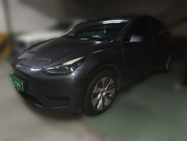 Tesla Model Y 2022 Tesla Model Y 2022 car image