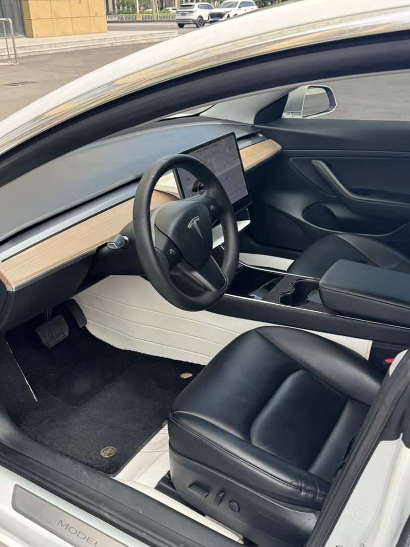 Tesla Model 3 2020 #4 Tesla Model 3 2020 car image #4