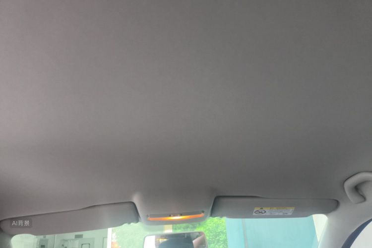 Volkswagen Polo 2017 car image #20