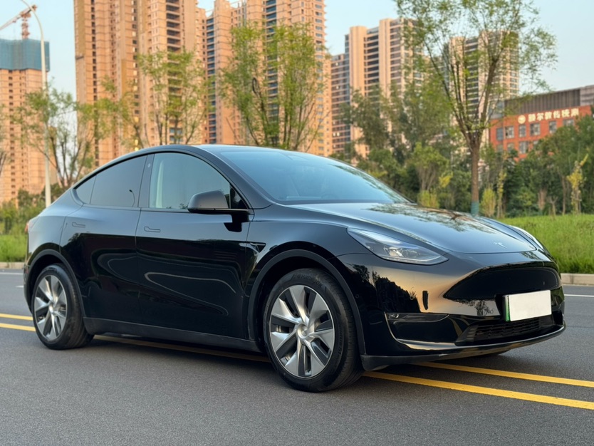 Tesla Model Y 2021 #3 Tesla Model Y 2021 car image #3