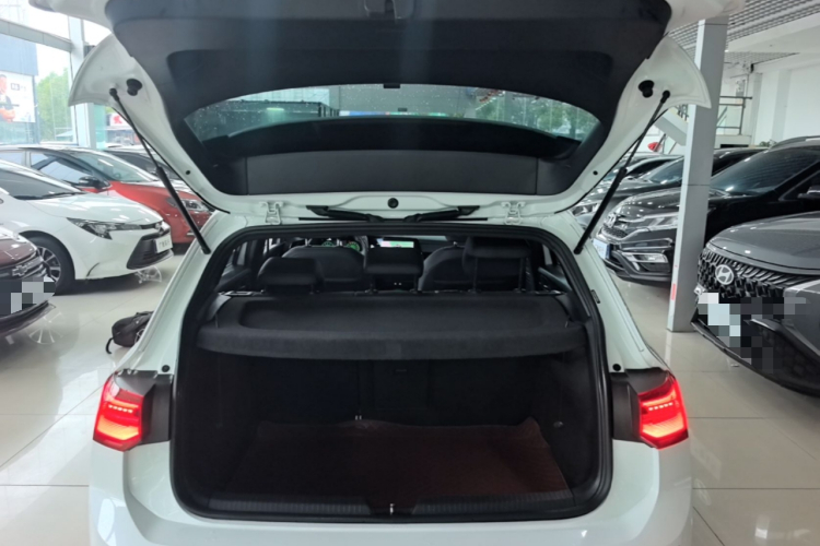 Volkswagen Golf 2022 car image #21