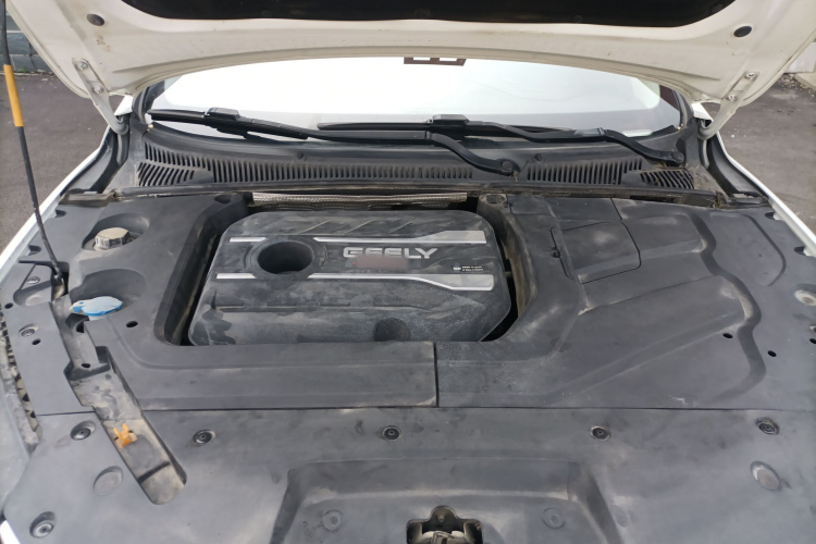 GEELY Binray 2019 immagine di auto #20