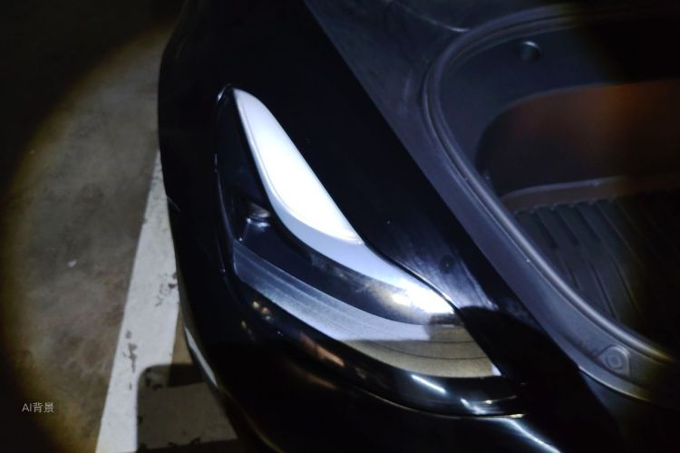 Tesla Model 3 2022 #8 Tesla Model 3 2022 car image #8