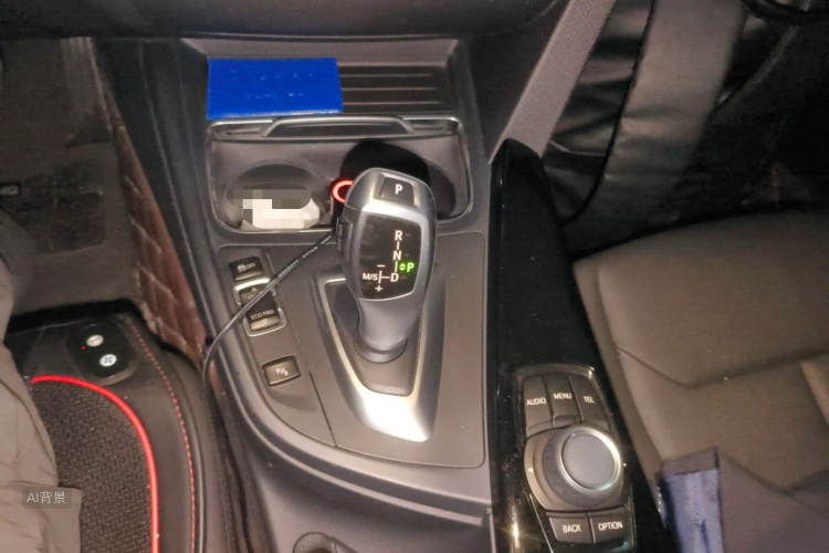 BMW 3 Series 2017 car image #16