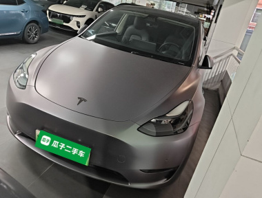 Tesla Model Y 2021 Tesla Model Y 2021 car image