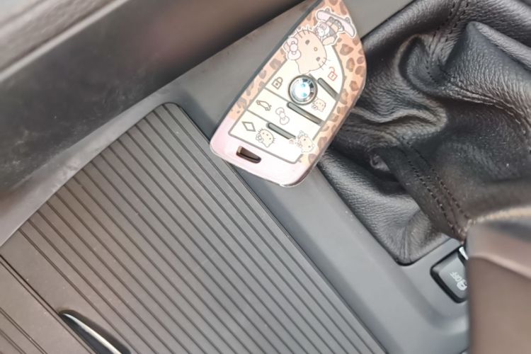 BMW X1 2017 car image #14