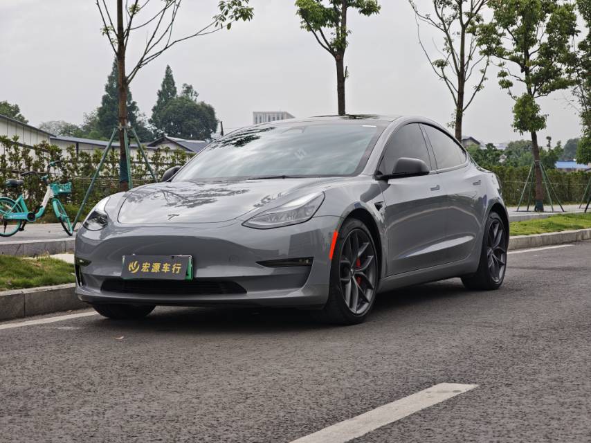 Tesla Model 3 2022 Tesla Model 3 2022 car image