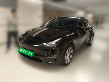 Tesla Model Y 2021 Tesla Model Y 2021 immagine di auto