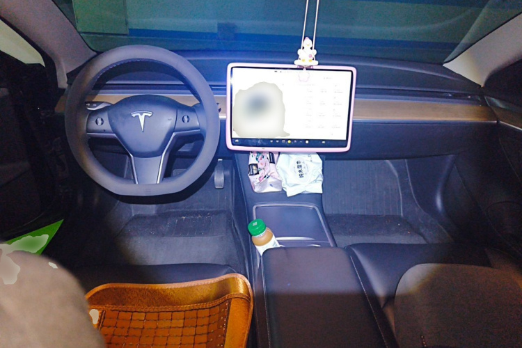 Tesla Model 3 2021 car image #12