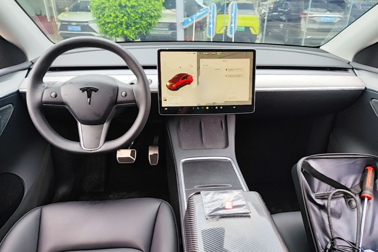 Tesla Model Y 2024 car image #10
