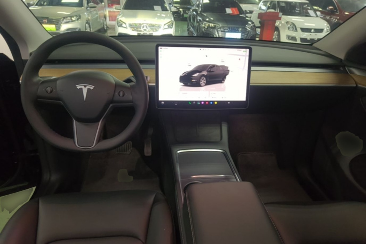 Tesla Model Y 2022 car image #10