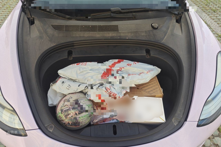 Tesla Model 3 2020 car image #22
