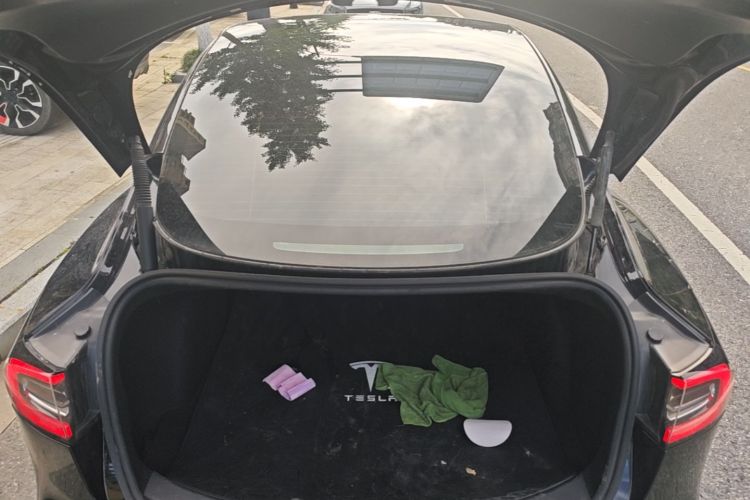Tesla Model 3 2022 immagine di auto #19