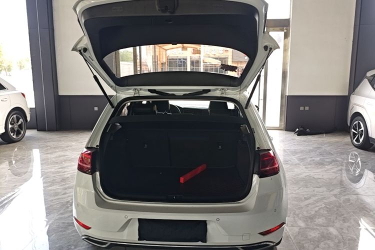 Volkswagen Golf 2019 #19 Volkswagen Golf 2019 car image #19