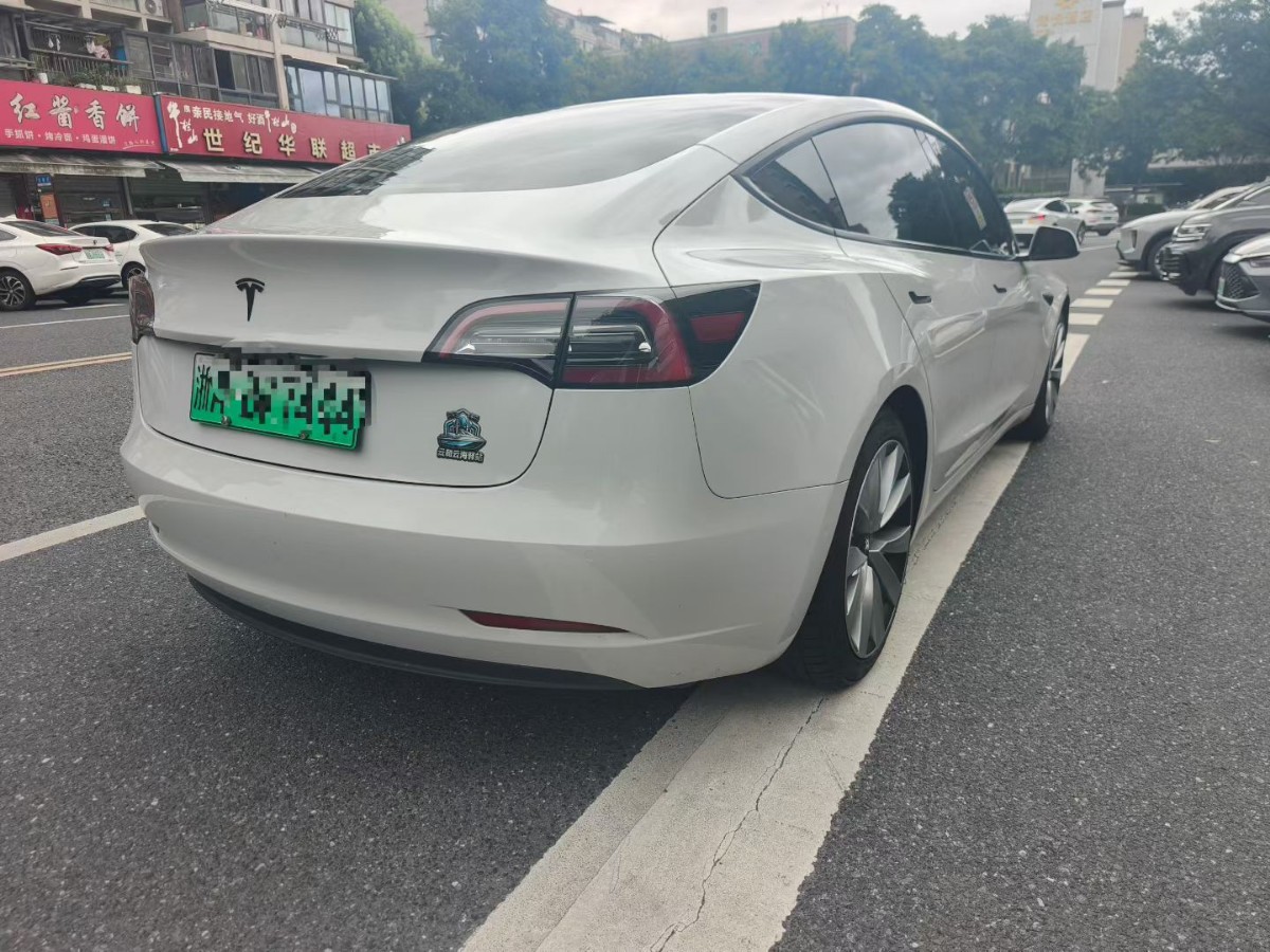Tesla Model 3 2021 car image #7