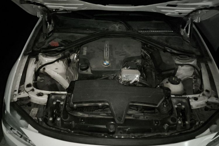 BMW 3 Series 2016 car image #22