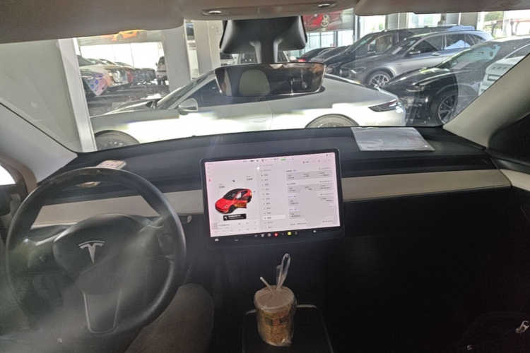 Tesla Model Y 2021 car image #10