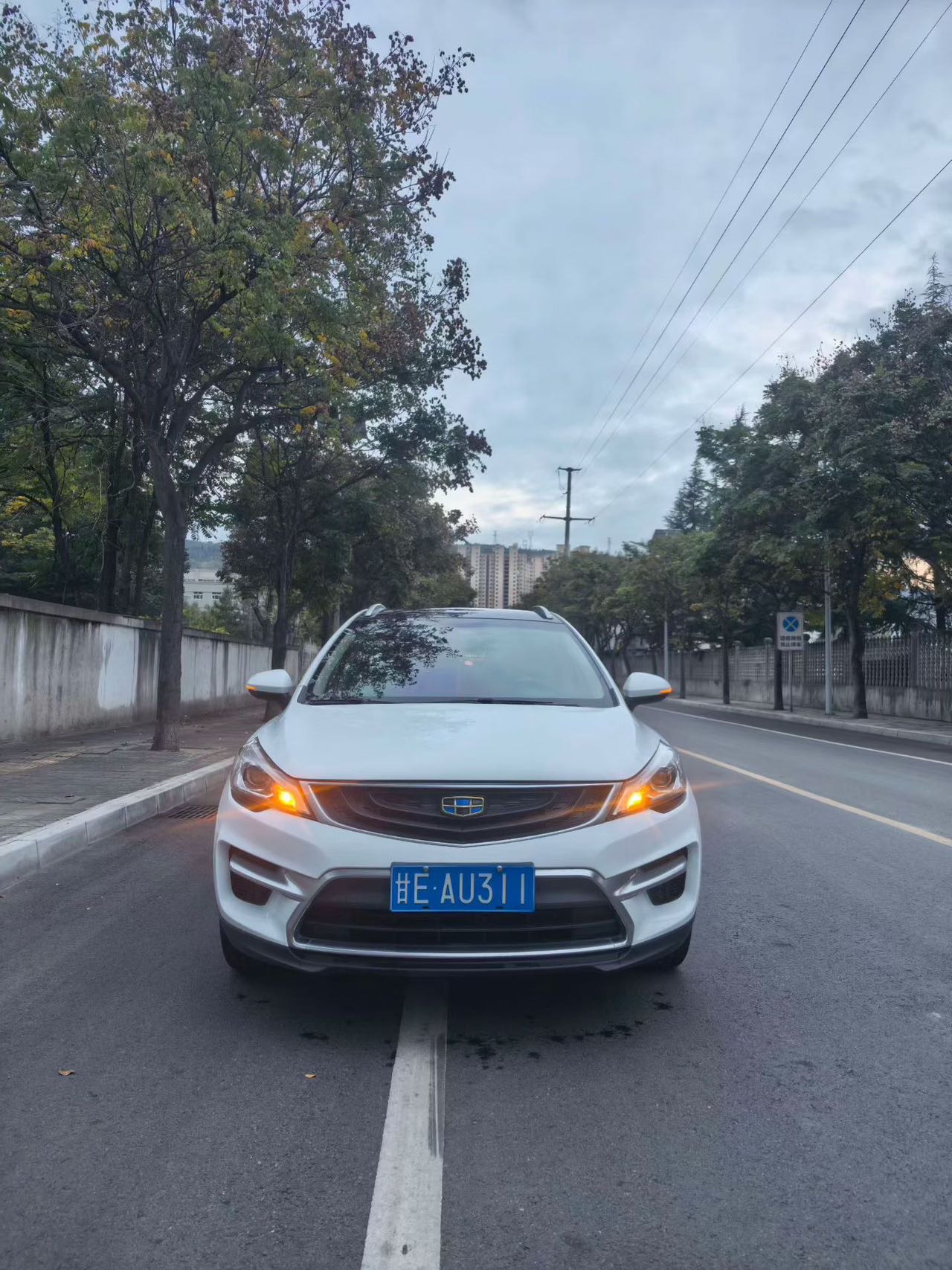 GEELY Emgrand GS 2017 #2 GEELY Emgrand GS 2017 immagine di auto #2