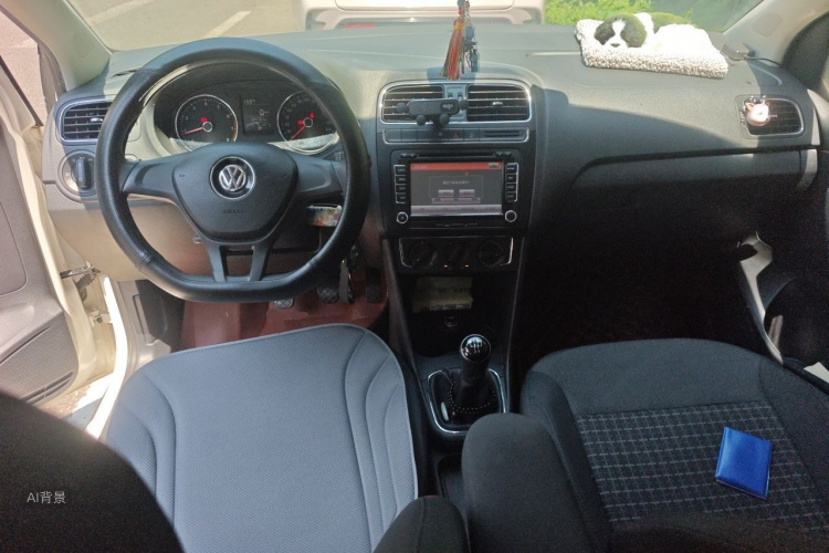 Volkswagen Polo 2014 car image #11