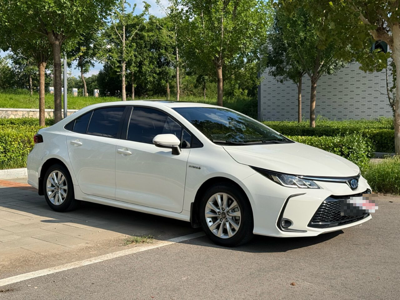 Toyota Corolla 2023 #5 Toyota Corolla 2023 car image #5
