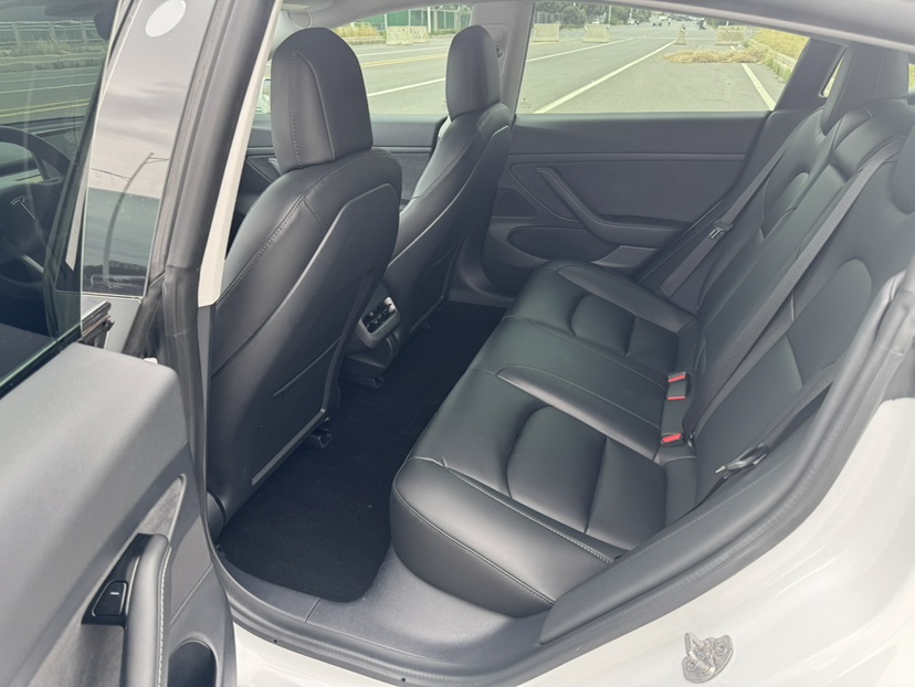 Tesla Model 3 2020 car image #8