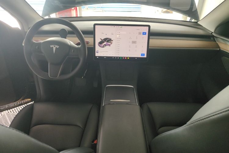 Tesla Model Y 2021 car image #10