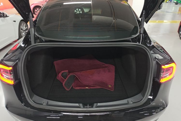 Tesla Model 3 2022 #19 Tesla Model 3 2022 car image #19