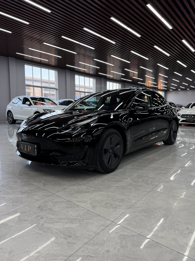 Tesla Model 3 2023 car image #3